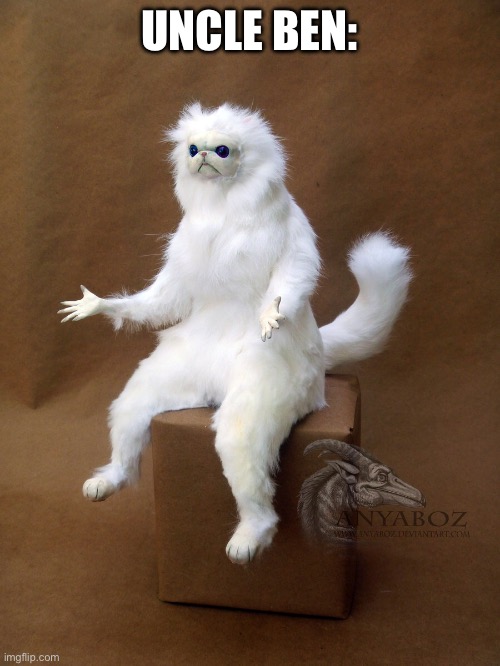 Persian Cat Room Guardian Single Meme | UNCLE BEN: | image tagged in memes,persian cat room guardian single | made w/ Imgflip meme maker