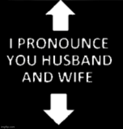I pronounce you husband and wife | image tagged in i pronounce you husband and wife | made w/ Imgflip meme maker