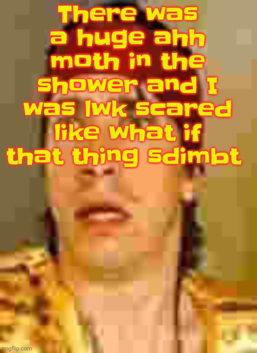 All jokes aside i have a crippling case of lepidopteraphobia | There was a huge ahh moth in the shower and I was lwk scared like what if that thing sdimbt | image tagged in when the | made w/ Imgflip meme maker