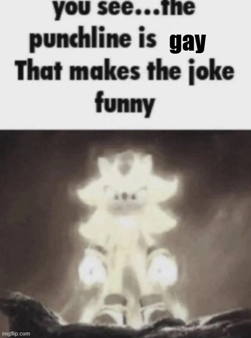 You see the punchline is that makes the joke funny shadow | gay | image tagged in you see the punchline is that makes the joke funny shadow | made w/ Imgflip meme maker