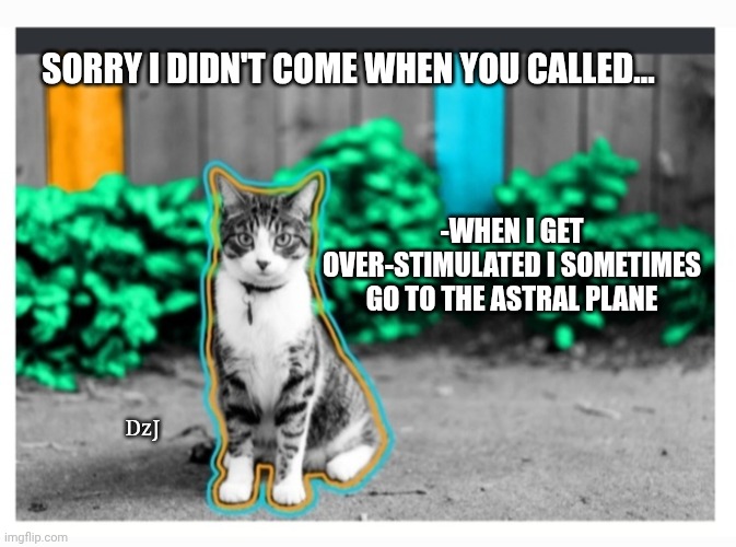 Kitty's Spaced Out | SORRY I DIDN'T COME WHEN YOU CALLED... -WHEN I GET OVER-STIMULATED I SOMETIMES GO TO THE ASTRAL PLANE; DzJ | image tagged in cool cat stroll,lost in space,cute cats | made w/ Imgflip meme maker