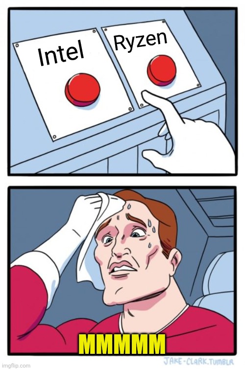 Two Buttons | Ryzen; Intel; MMMMM | image tagged in memes,two buttons | made w/ Imgflip meme maker