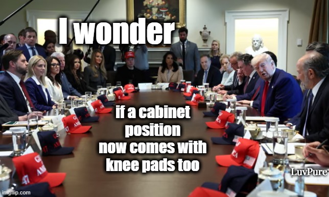 Perks of a job in Trump's cabinet | I wonder; if a cabinet position now comes with knee pads too; LuvPure | image tagged in maga,trump is a moron,baby trump,trump supporters,never trump | made w/ Imgflip meme maker