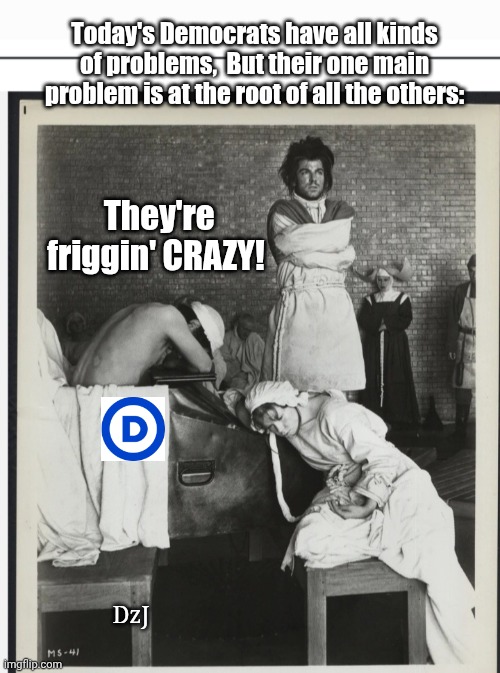 MLAGA- Make Lunatic Asylums Great Again | Today's Democrats have all kinds of problems,  But their one main problem is at the root of all the others:; They're friggin' CRAZY! DzJ | image tagged in crazy,democrats,insane,libtards,triggered liberal,prison bars | made w/ Imgflip meme maker
