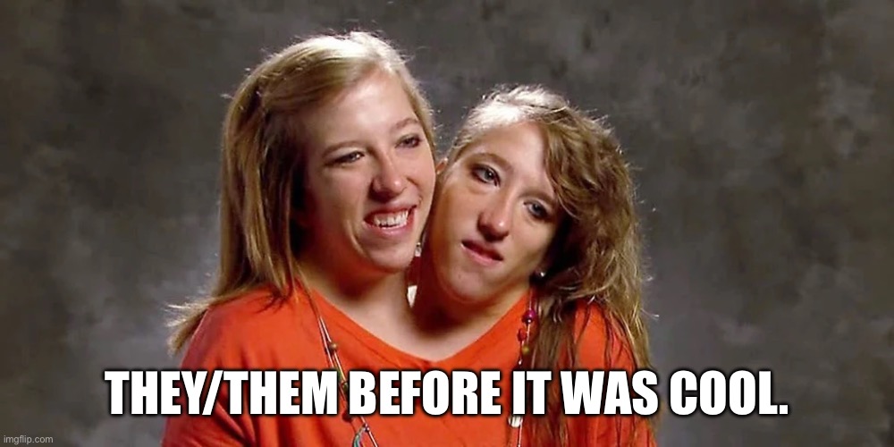 Two headed girls | THEY/THEM BEFORE IT WAS COOL. | image tagged in two heads | made w/ Imgflip meme maker