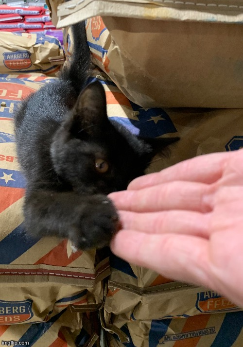 Dap me up | made w/ Imgflip meme maker