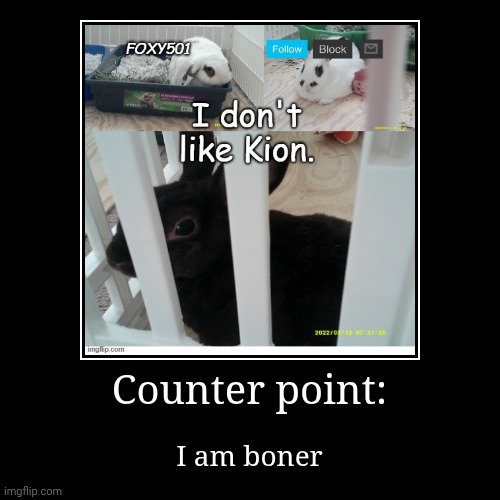 Counter point: | I am boner | image tagged in funny,demotivationals | made w/ Imgflip demotivational maker