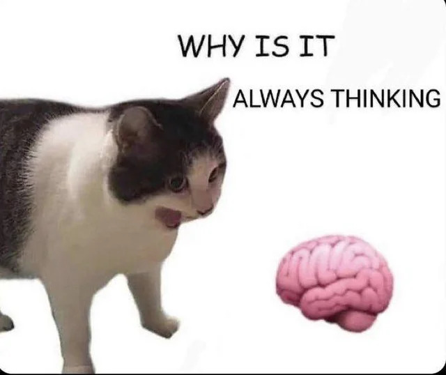 Cat screaming at brain Blank Meme Template