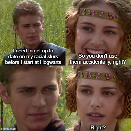 Anakin Padme 4 Panel | I need to get up to date on my racial slurs before I start at Hogwarts; So you don't use them accidentally, right? Right? | image tagged in anakin padme 4 panel | made w/ Imgflip meme maker