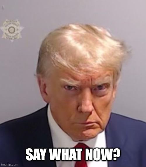 Donald Trump Mugshot | SAY WHAT NOW? | image tagged in donald trump mugshot | made w/ Imgflip meme maker