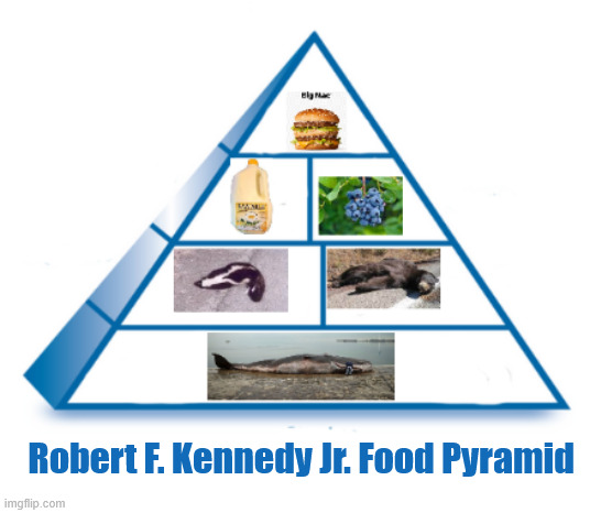 RFK Jr Food Pyramid | Robert F. Kennedy Jr. Food Pyramid | image tagged in rfk jr food pyramid,roadkill,raw milk,wild berries,big mac,maga meal | made w/ Imgflip meme maker