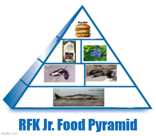 RFK Jr Food Pyramid | RFK Jr. Food Pyramid | image tagged in rfk jr food pyramid,roadkill,beached whale,raw milk,big mac,dead bear | made w/ Imgflip meme maker