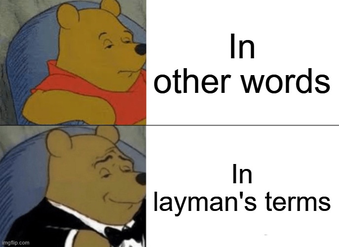 Fancy ways of saying 'in other words' | In other words; In layman's terms | image tagged in memes,tuxedo winnie the pooh,oh wow are you actually reading these tags | made w/ Imgflip meme maker