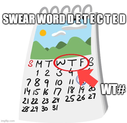 NAHHH | SWEAR WORD D E T E C T E D; WT# | image tagged in holidays,memes,swearing | made w/ Imgflip meme maker