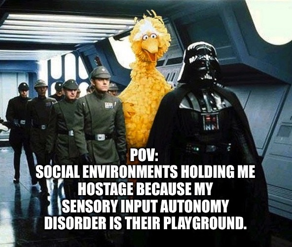 Input autonomy disorder | POV: 
SOCIAL ENVIRONMENTS HOLDING ME HOSTAGE BECAUSE MY SENSORY INPUT AUTONOMY DISORDER IS THEIR PLAYGROUND. | image tagged in vader big bird | made w/ Imgflip meme maker