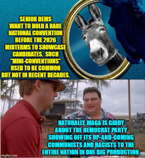 LOL . . . yes, please go for it, Dems. | SENIOR DEMS WANT TO HOLD A RARE NATIONAL CONVENTION BEFORE THE 2026 MIDTERMS TO SHOWCASE CANDIDATES.  SUCH “MINI-CONVENTIONS” USED TO BE COMMON BUT NOT IN RECENT DECADES. NATURALLY, MAGA IS GIDDY ABOUT THE DEMOCRAT PARTY SHOWING OFF ITS UP-AND-COMING COMMUNISTS AND RACISTS TO THE ENTIRE NATION IN ONE BIG PRODUCTION. | image tagged in see nobody cares | made w/ Imgflip meme maker
