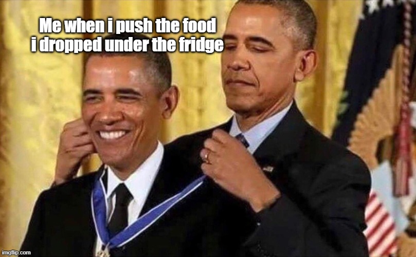 I know you do this | Me when i push the food i dropped under the fridge | image tagged in obama medal | made w/ Imgflip meme maker