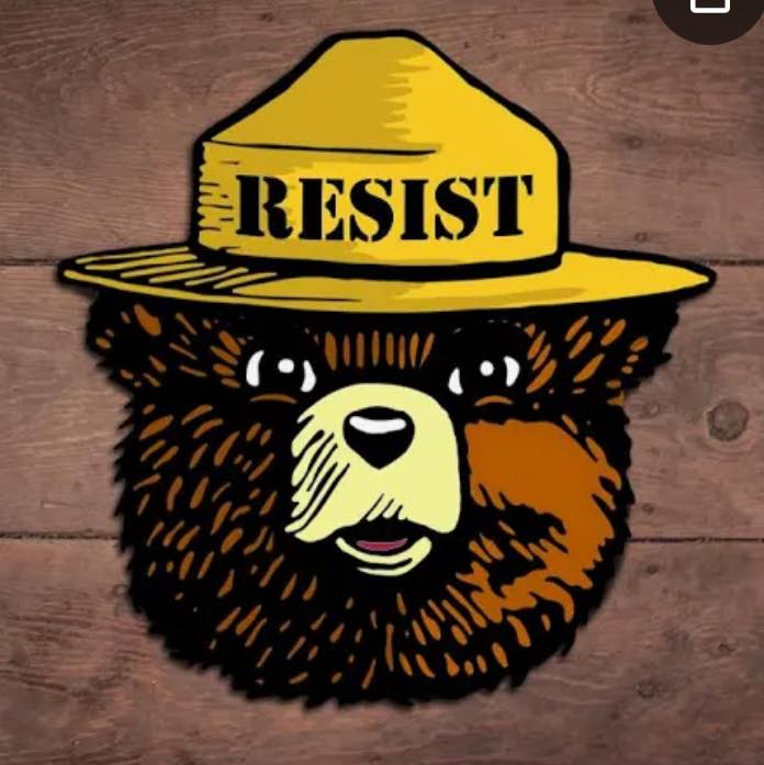 Resistor Bear Blank Meme Template
