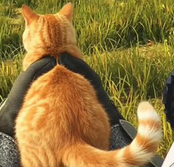 hideoutcat Blank Meme Template