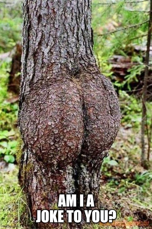Sexy Tree | AM I A JOKE TO YOU? | image tagged in sexy tree | made w/ Imgflip meme maker