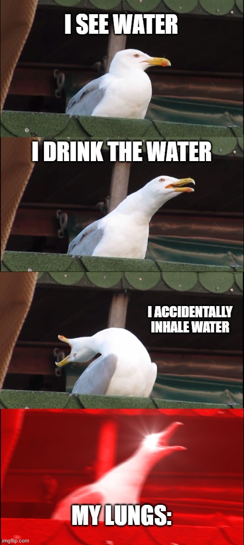 Drinking water | I SEE WATER; I DRINK THE WATER; I ACCIDENTALLY INHALE WATER; MY LUNGS: | image tagged in memes,inhaling seagull | made w/ Imgflip meme maker