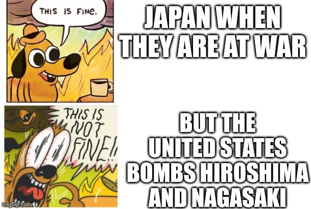 This is Fine, This is Not Fine | BUT THE UNITED STATES BOMBS HIROSHIMA AND NAGASAKI; JAPAN WHEN THEY ARE AT WAR | image tagged in this is fine this is not fine | made w/ Imgflip meme maker