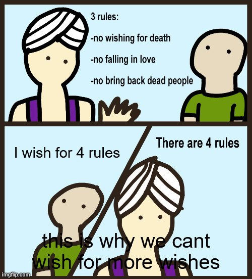 WHYYYYYYYYYYYYYYY | I wish for 4 rules; this is why we cant wish for more wishes | image tagged in genie rules meme | made w/ Imgflip meme maker