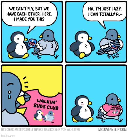 Mr. Lovenstein | image tagged in comics,mr lovenstein,birds,shirt,walkin buds,wholesome | made w/ Imgflip meme maker