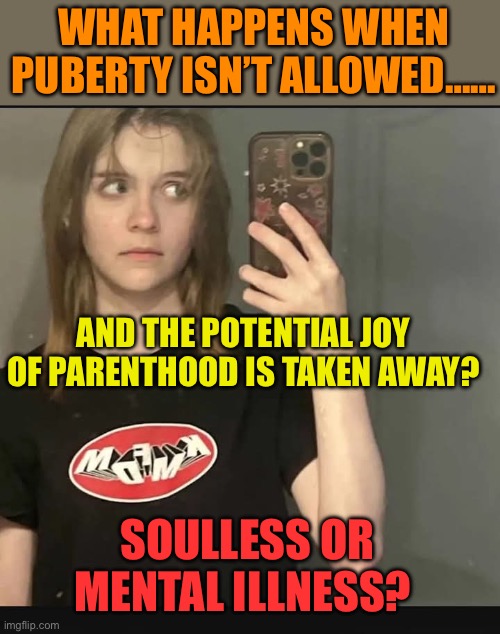 No coincidences | WHAT HAPPENS WHEN PUBERTY ISN’T ALLOWED……; AND THE POTENTIAL JOY OF PARENTHOOD IS TAKEN AWAY? SOULLESS OR MENTAL ILLNESS? | image tagged in transsexual school shooter,tragedy,transgender,trans,school shooting | made w/ Imgflip meme maker