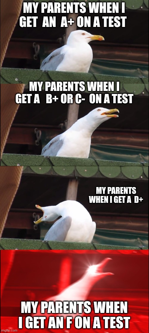Inhaling Seagull | MY PARENTS WHEN I GET  AN  A+ ON A TEST; MY PARENTS WHEN I GET A   B+ OR C-  ON A TEST; MY PARENTS WHEN I GET A  D+; MY PARENTS WHEN I GET AN F ON A TEST | image tagged in memes,inhaling seagull | made w/ Imgflip meme maker