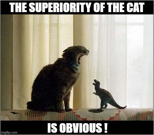 Cat Vs Dinosaur ! | THE SUPERIORITY OF THE CAT; IS OBVIOUS ! | image tagged in cats,dinosaurs | made w/ Imgflip meme maker