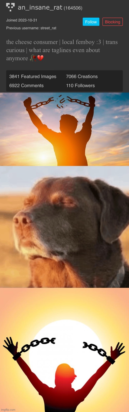 image tagged in breaking chains,inner peace dog,freedom | made w/ Imgflip meme maker