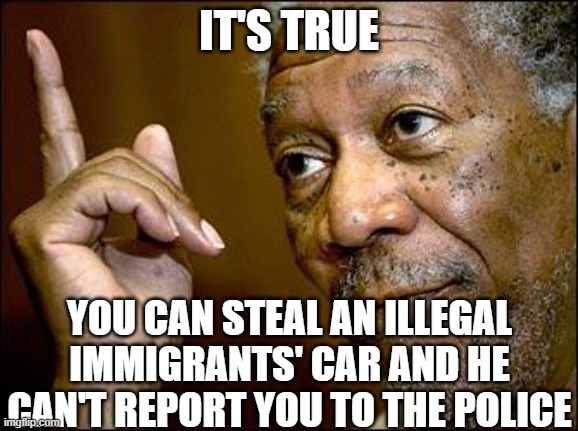 This Morgan Freeman | IT'S TRUE YOU CAN STEAL AN ILLEGAL IMMIGRANTS' CAR AND HE CAN'T REPORT YOU TO THE POLICE | image tagged in this morgan freeman | made w/ Imgflip meme maker
