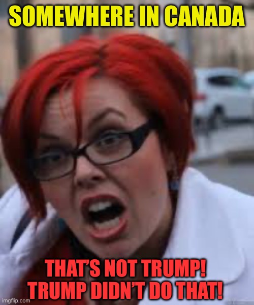SJW Triggered | SOMEWHERE IN CANADA THAT’S NOT TRUMP! TRUMP DIDN’T DO THAT! | image tagged in sjw triggered | made w/ Imgflip meme maker