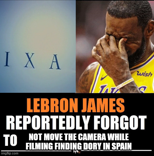 Lebron James Will Be Arrested For This | NOT MOVE THE CAMERA WHILE FILMING FINDING DORY IN SPAIN | image tagged in lebron james reportedly forgot to | made w/ Imgflip meme maker