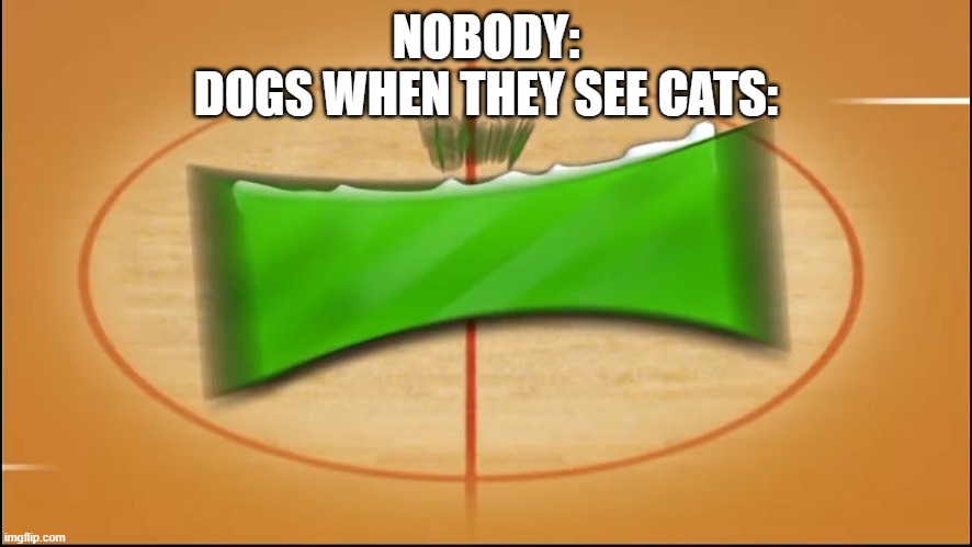 I didn't know they hated cats. | NOBODY:
DOGS WHEN THEY SEE CATS: | image tagged in animals,dogs,cats | made w/ Imgflip meme maker