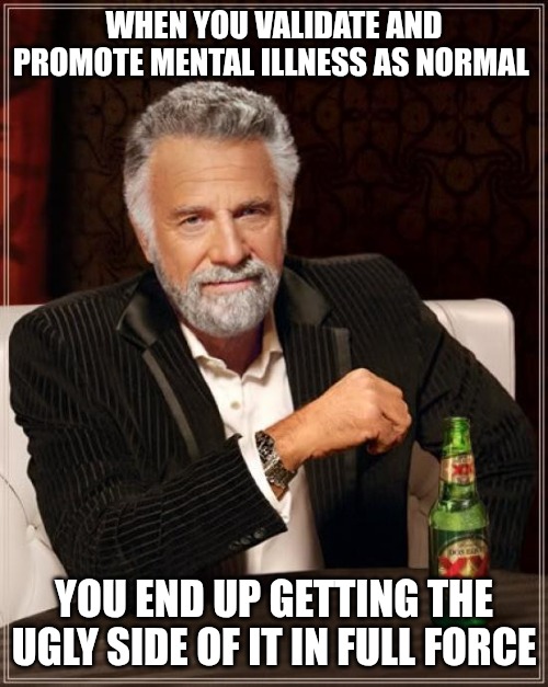Mental illness needs to be labeled as such. Otherwise you get things like the Minnesota shooting. | WHEN YOU VALIDATE AND PROMOTE MENTAL ILLNESS AS NORMAL; YOU END UP GETTING THE UGLY SIDE OF IT IN FULL FORCE | image tagged in memes,the most interesting man in the world,mental illness,school shooting,democrats | made w/ Imgflip meme maker