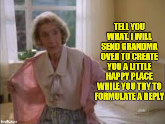 TELL YOU WHAT. I WILL SEND GRANDMA OVER TO CREATE YOU A LITTLE HAPPY PLACE WHILE YOU TRY TO FORMULATE A REPLY | made w/ Imgflip meme maker