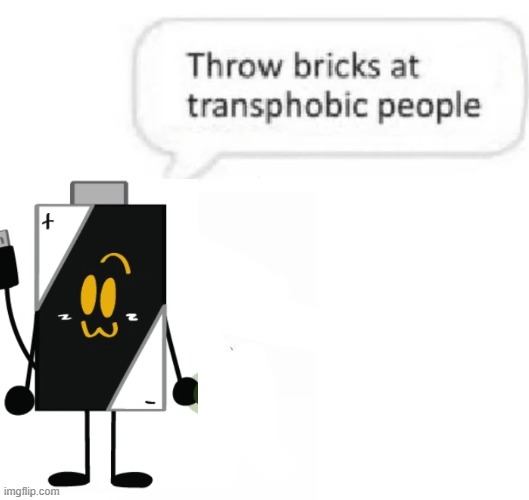 Throw bricks at transphobic people | image tagged in throw bricks at transphobic people | made w/ Imgflip meme maker