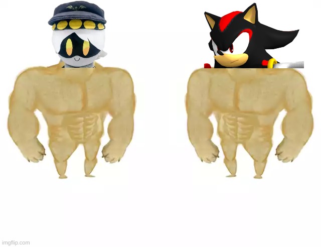 Buff Doge vs Buff Doge | image tagged in buff doge vs buff doge | made w/ Imgflip meme maker