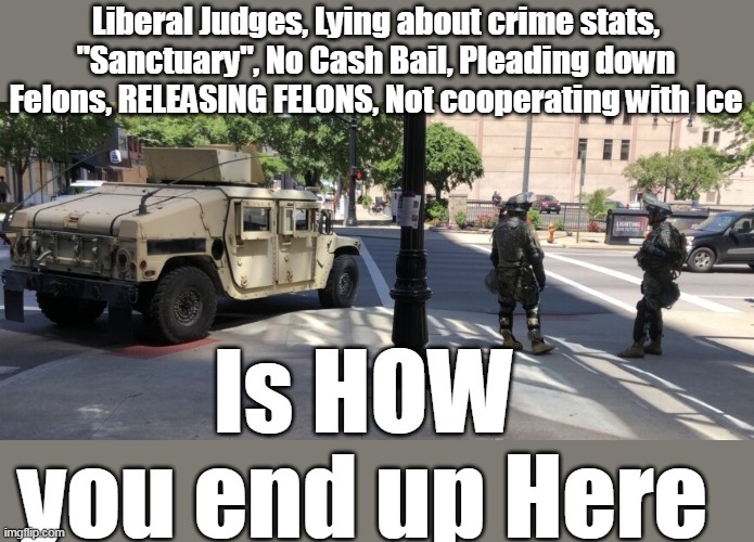 WHEN will they figure it out ? | Liberal Judges, Lying about crime stats, "Sanctuary", No Cash Bail, Pleading down Felons, RELEASING FELONS, Not cooperating with Ice; Is HOW 
you end up Here | image tagged in dc national guard meme | made w/ Imgflip meme maker