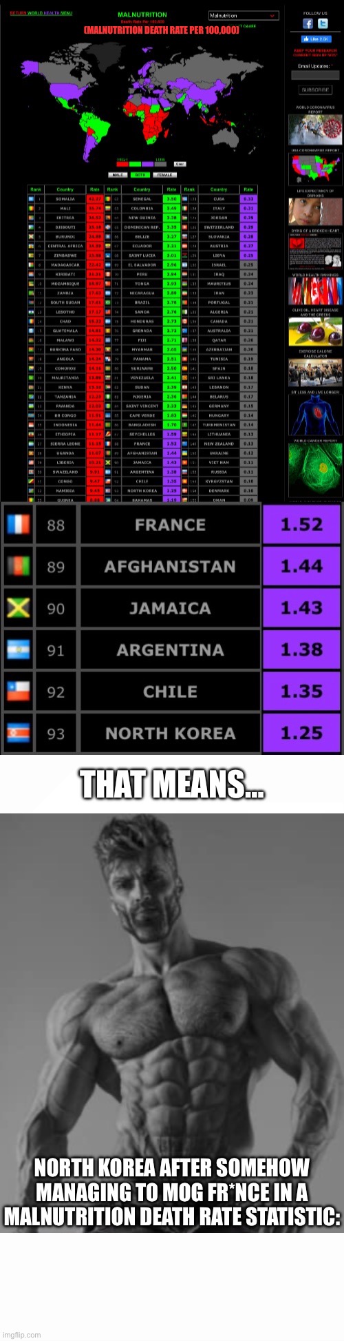 Another example that demonstrates how Fr*nce is secretly a fraud | (MALNUTRITION DEATH RATE PER 100,000); THAT MEANS…; NORTH KOREA AFTER SOMEHOW MANAGING TO MOG FR*NCE IN A MALNUTRITION DEATH RATE STATISTIC: | image tagged in long blank white | made w/ Imgflip meme maker