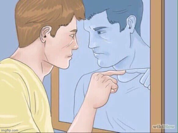 WikiHow Mirror | image tagged in wikihow mirror | made w/ Imgflip meme maker