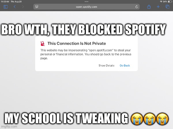 BRO, NOW HOW WILL I LISTEN TO MUSIC | BRO WTH, THEY BLOCKED SPOTIFY; MY SCHOOL IS TWEAKING 😭😭😭 | image tagged in school,tweaking,why are you reading the tags | made w/ Imgflip meme maker