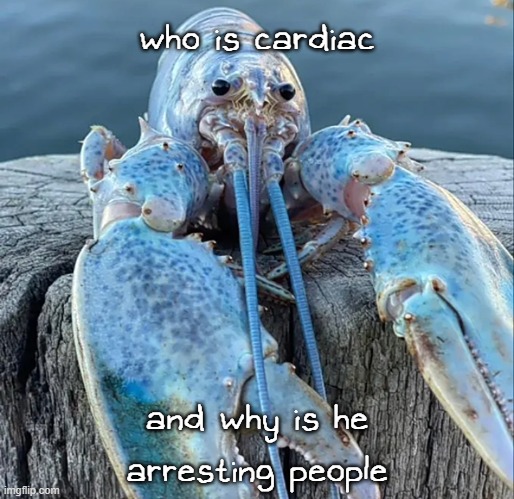 The Blue Lobster | who is cardiac; and why is he arresting people | image tagged in the blue lobster | made w/ Imgflip meme maker