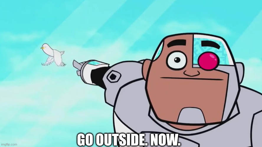 Cyborg Wants You To Go Outside | GO OUTSIDE. NOW. | image tagged in guys look a birdie,cyborg | made w/ Imgflip meme maker