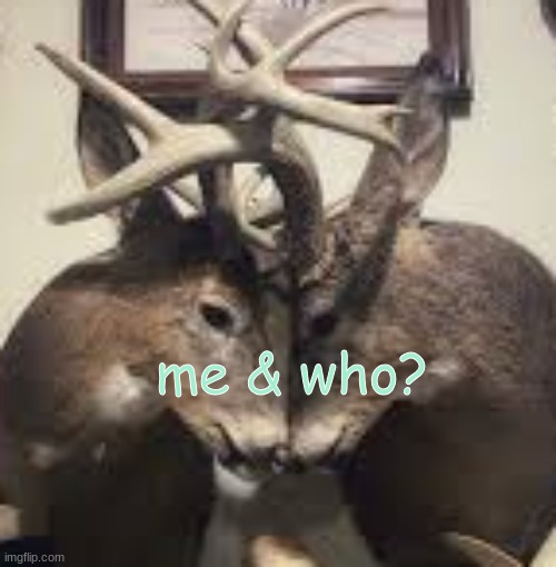 shhh they r dating <3 | me & who? | image tagged in me and who deer gay | made w/ Imgflip meme maker