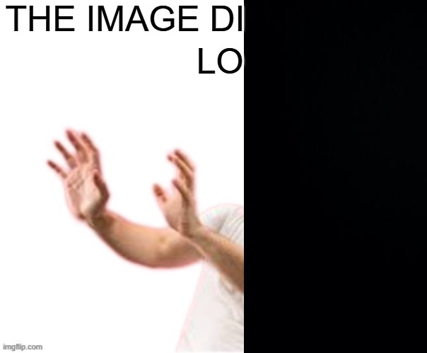 he left all caps on(custom) | THE IMAGE DI; LO | image tagged in he left all caps on custom | made w/ Imgflip meme maker