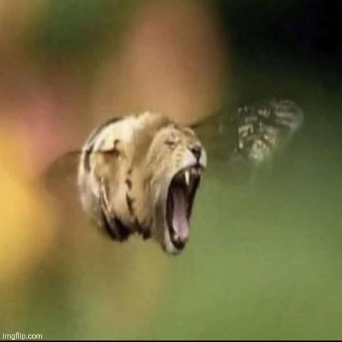 "Isn't nature so beautiful?" Nature: | made w/ Imgflip meme maker