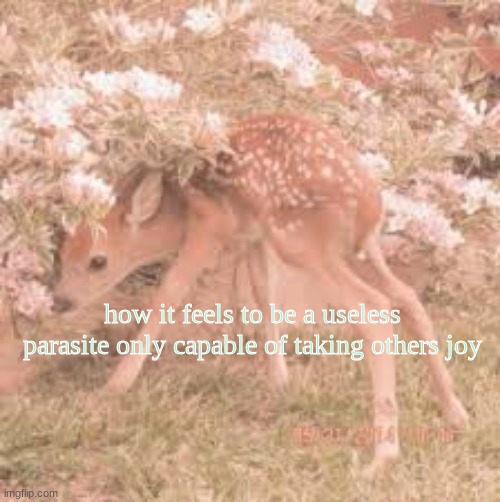 NSFW bcuz trauma dump | how it feels to be a useless parasite only capable of taking others joy | image tagged in wtf,sad deer,its gay,omg | made w/ Imgflip meme maker
